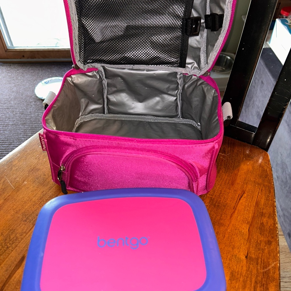 Pink and Blue Insulated Lunch Bag with Durable Design